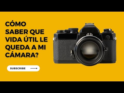 Duración de una cámara Nikon: ¿Cuántos años dura?
