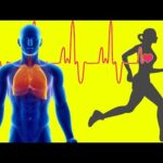 Descubre los efectos de la actividad física en el cuerpo