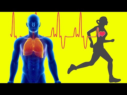 Descubre los efectos de la actividad física en el cuerpo